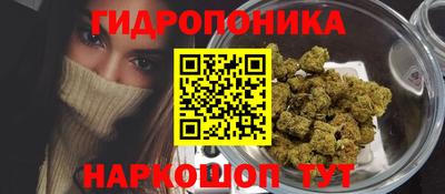 индика Заводоуковск