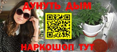индика Заводоуковск