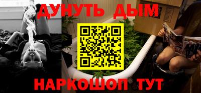 индика Заводоуковск