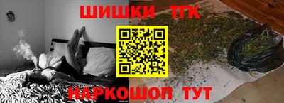 индика Заводоуковск