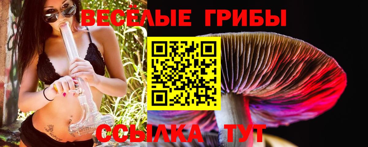 Дагестанские Огни  Галлюциногенные грибы MAGIC MUSHROOMS  Вход с VPN  Псилоцибиновые грибы Magic Shrooms 